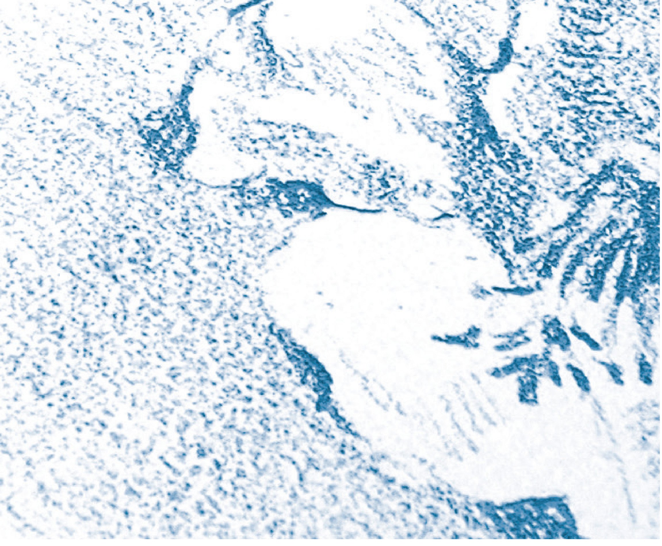 clairefontaine-painton-bloc-dessin-a5-125g-40-feuilles-96686c image 3