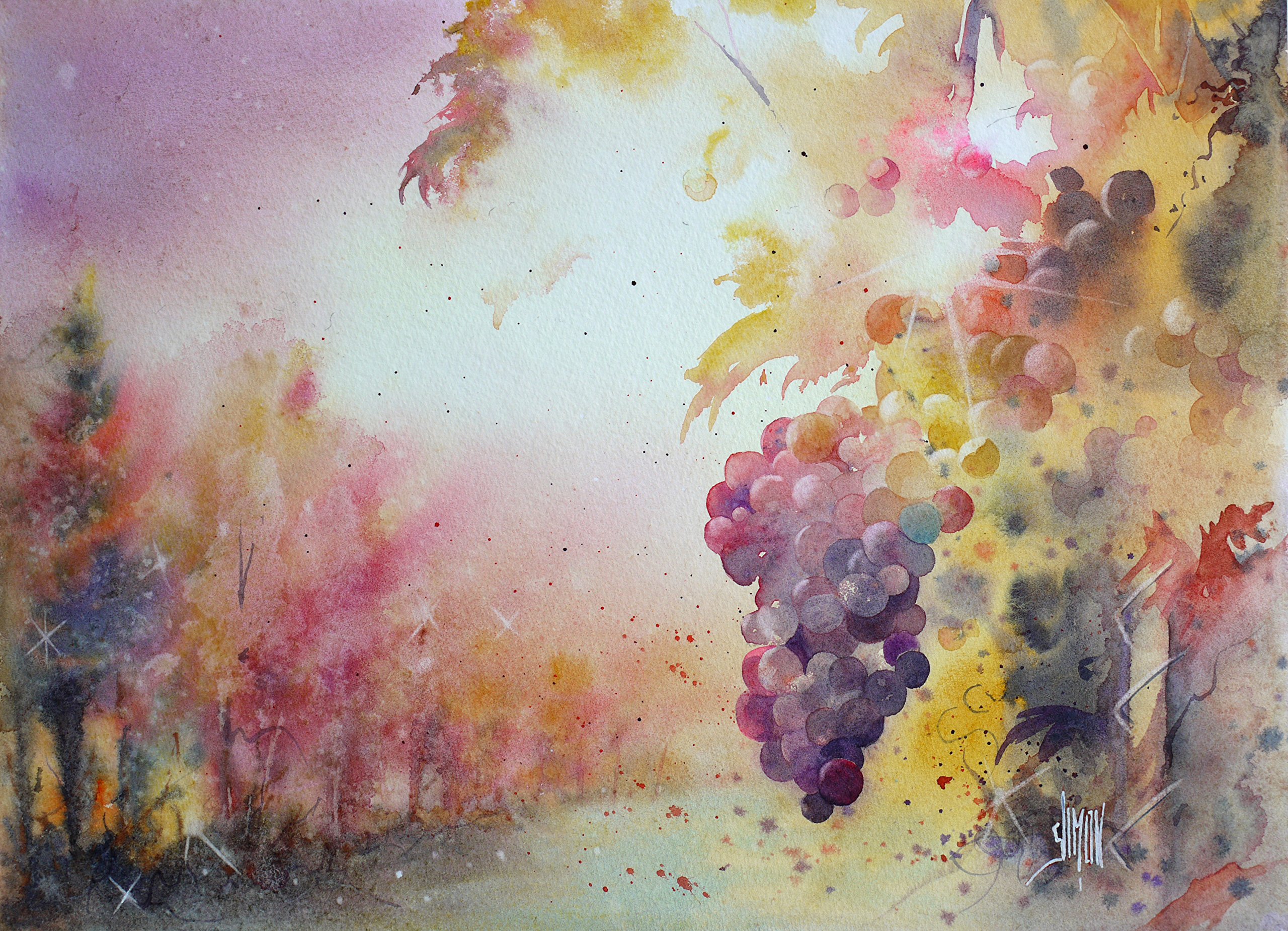 clairefontaine-fontaine-papier-aquarelle-satin-56x76-300g-blanc-10-feuilles image 7