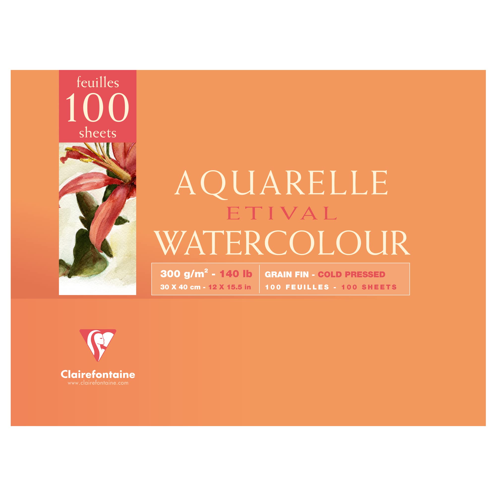 clairefontaine-painton-papier-dessin-gouache-24x32-300g-6-feuilles image 5