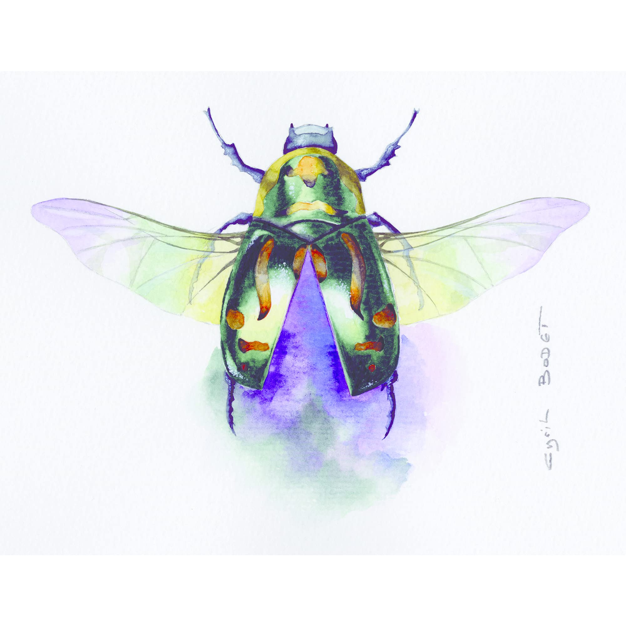 clairefontaine-painton-96073c-album-aquarelle-36x48cm-12-feuilles-300g image 4