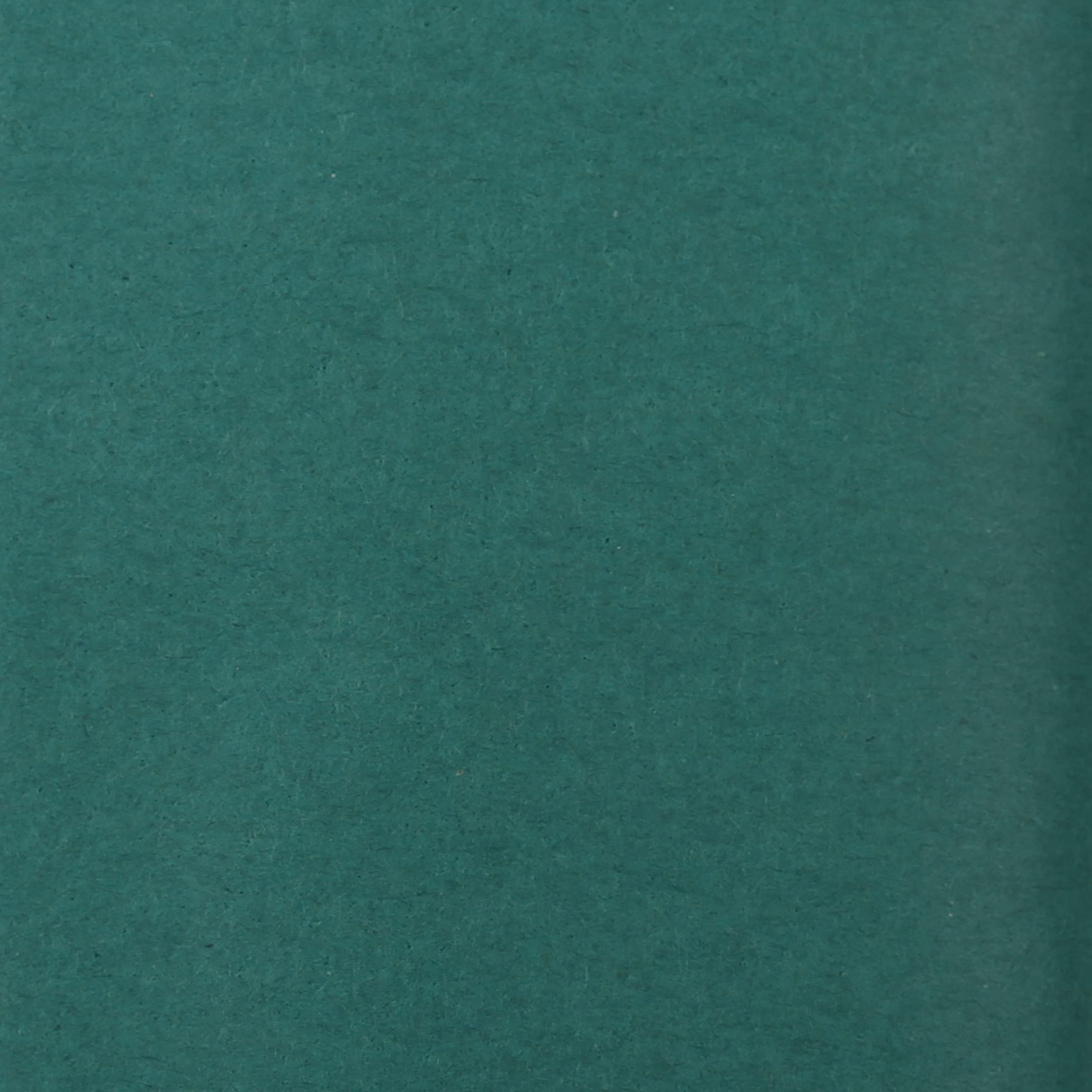 clairefontaine-tulip-394050c-papier-soie-vert-50x75-24-feuilles image 3