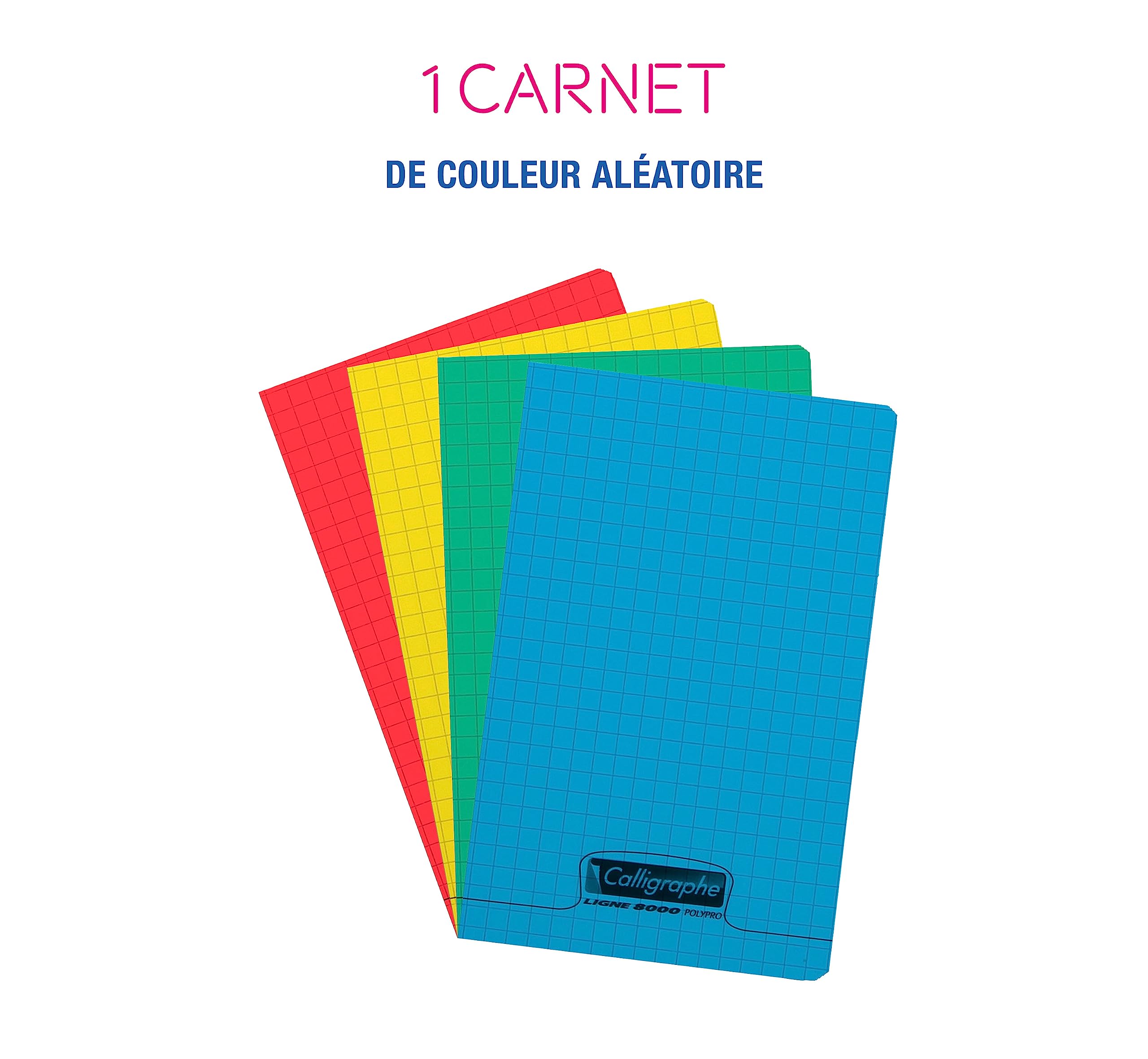 clairefontaine-calligraphe-18070c-carnet-11x17-petits-carreaux-90g image 2