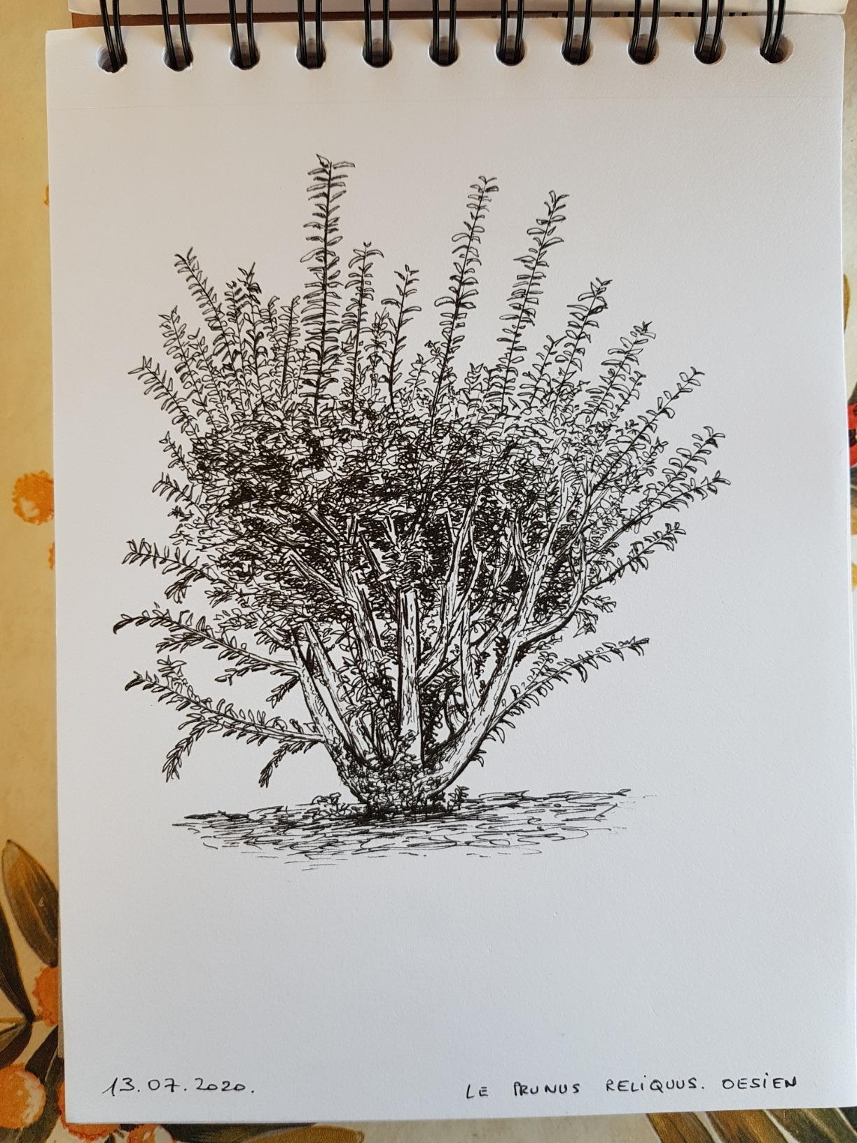 Découpe facile