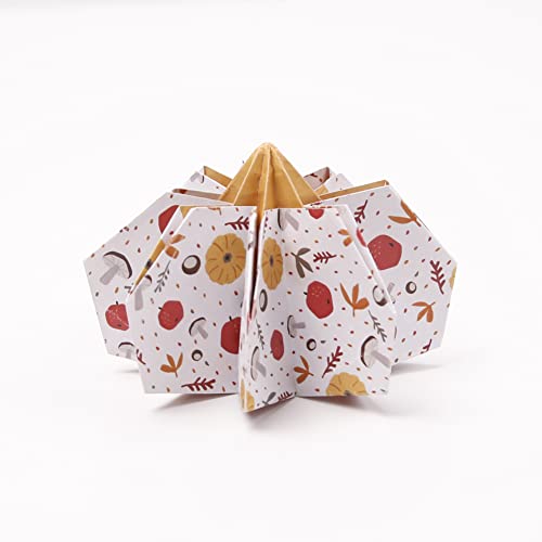 clairefontaine-95379c-papier-origami-automne-60-feuilles-3-formats image 8