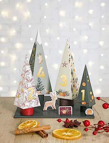 clairefontaine-back-to-basics-97713c-kit-d-co-4-sapins-lumineux image 7