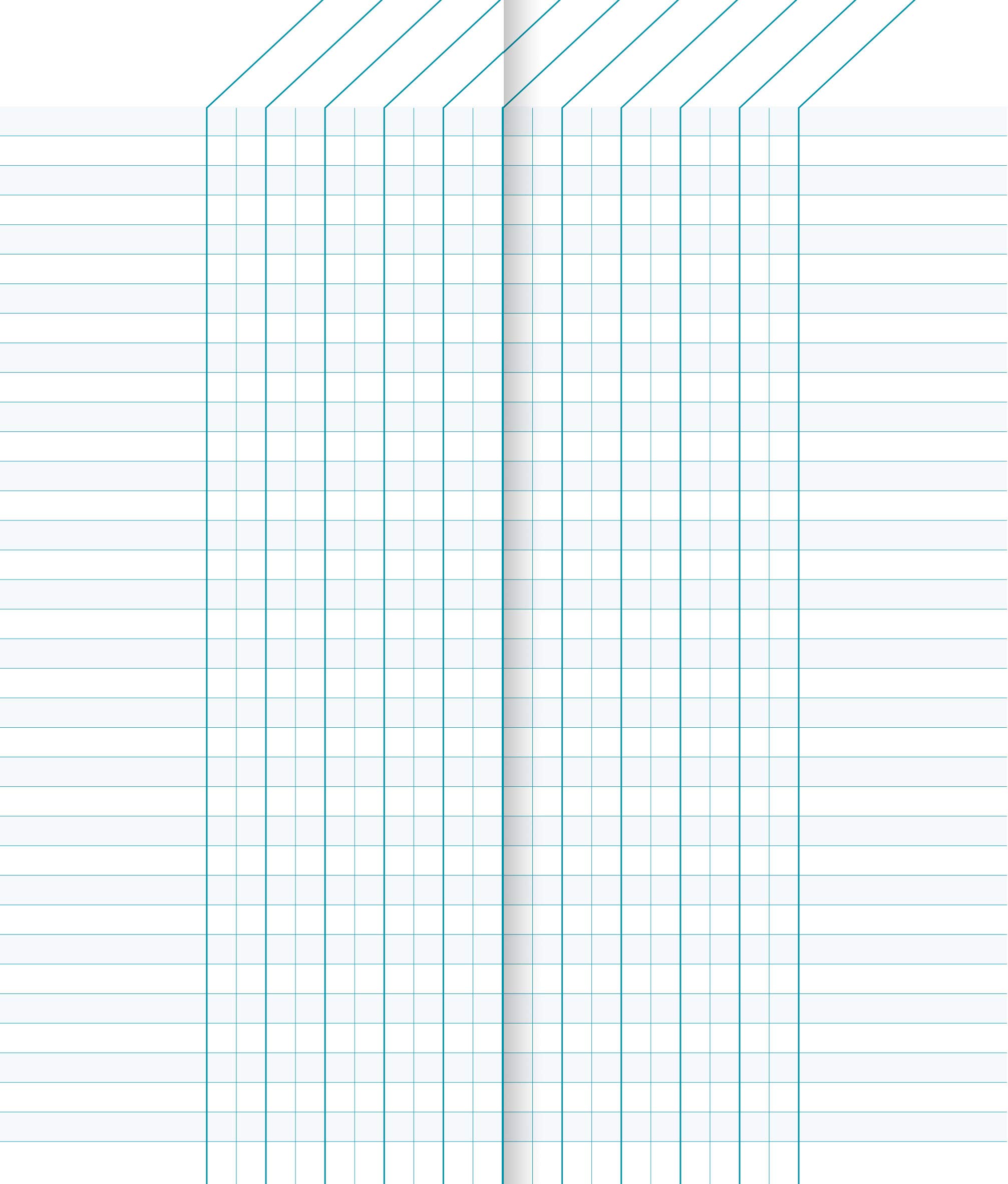 clairefontaine-3529c-cahier-de-bord-5x20-32p-110g image 3