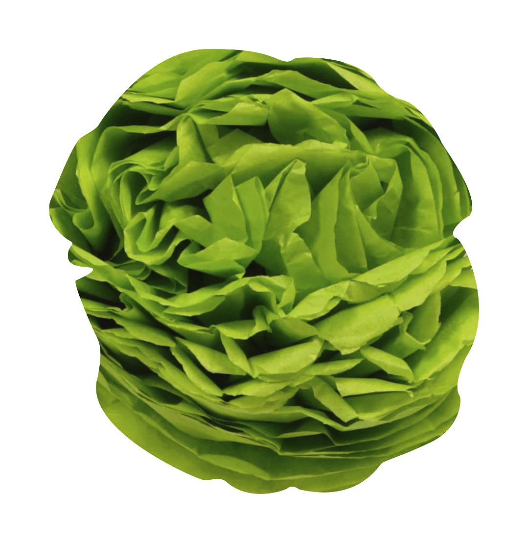 clairefontaine-tulip-papier-de-soie-vert-pomme-24-feuilles-50x75 image 4