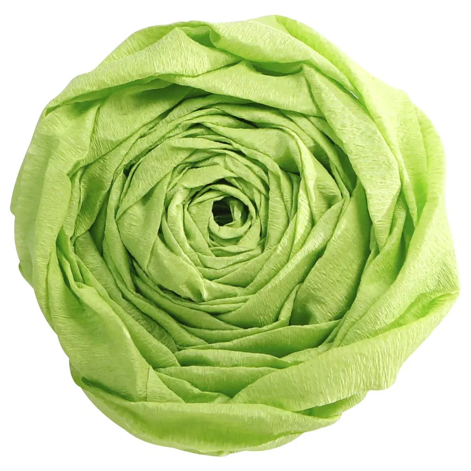 clairefontaine-tulip-papier-cr-pon-vert-pomme-10-feuilles image 1