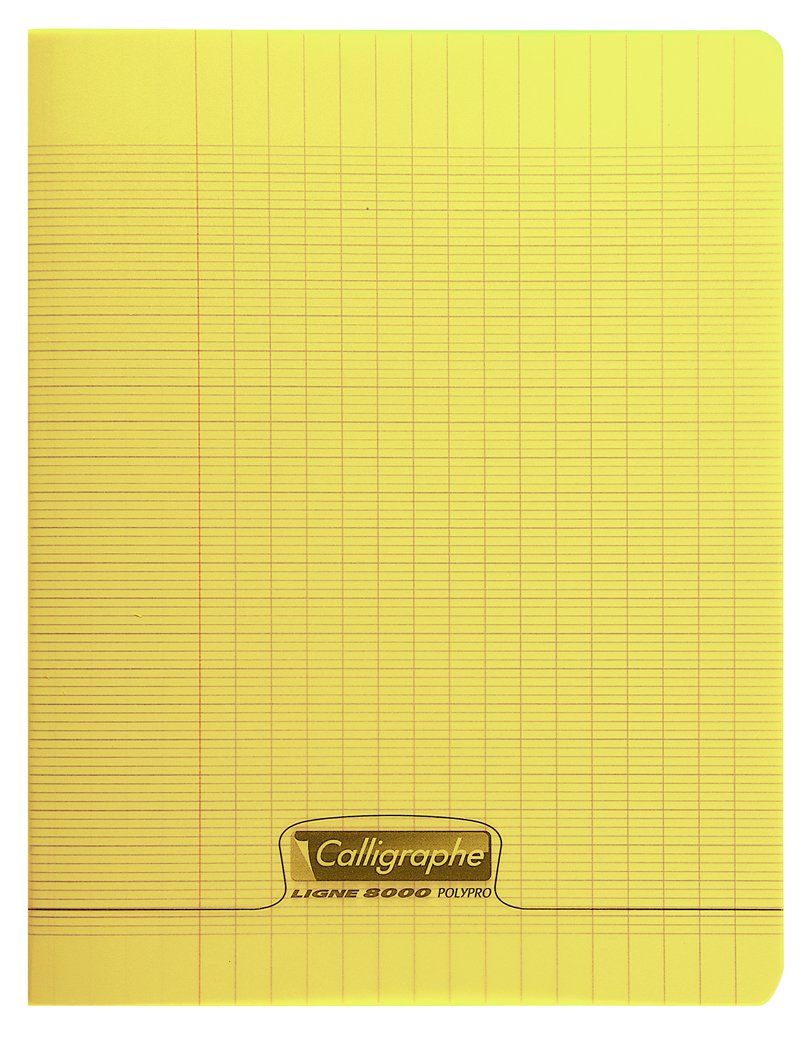 calligraphe-cahier-a4-192-pages-petits-carreaux-incolore image 7