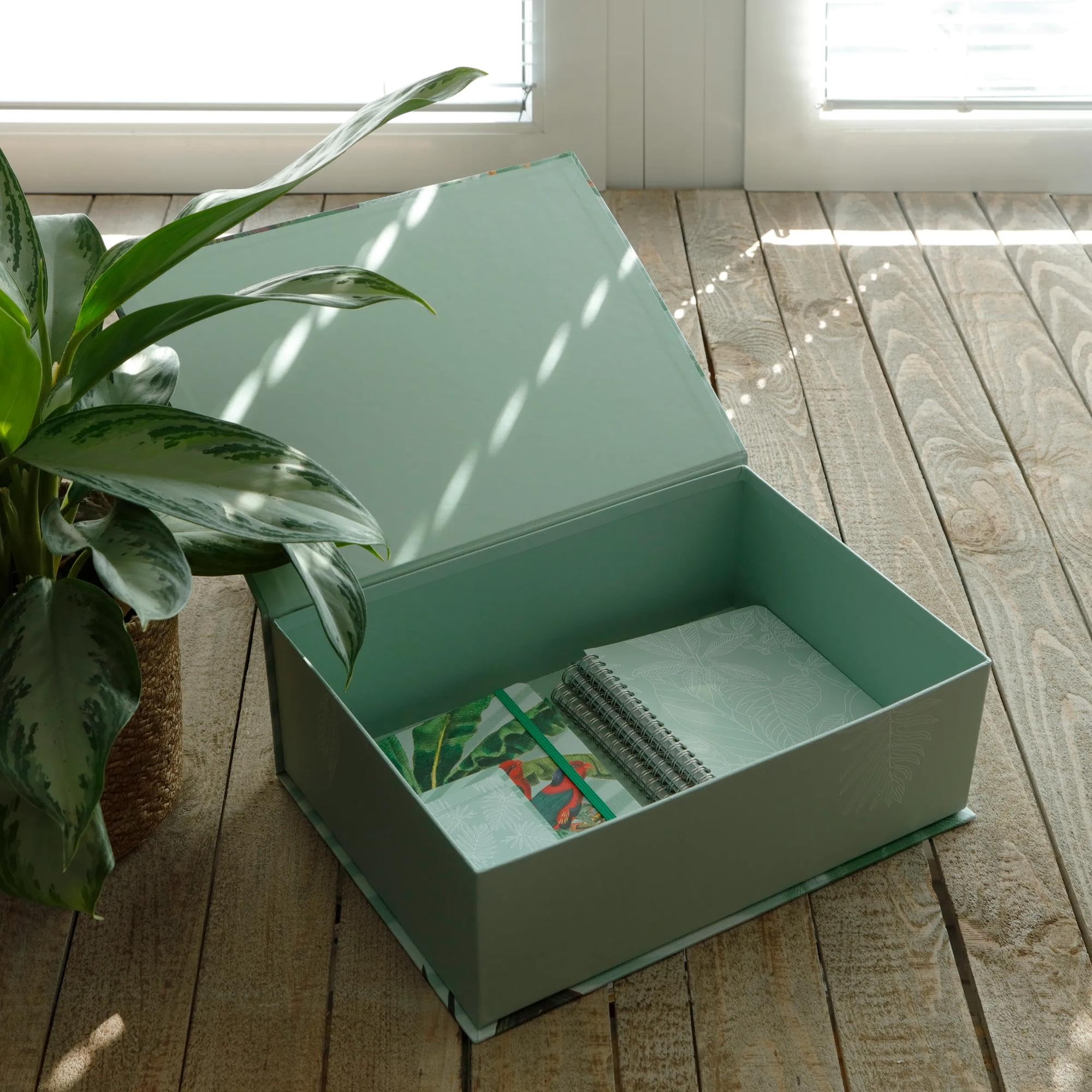 clairefontaine-jungle-harmony-bo-te-rangement-carton-35-5x26x13-motif-jungle image 3