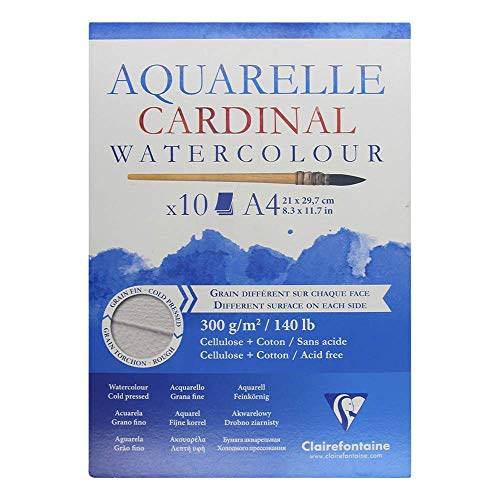 clairefontaine-painton-bloc-aquarelle-a3-10-feuilles-300g-double-grain image 8