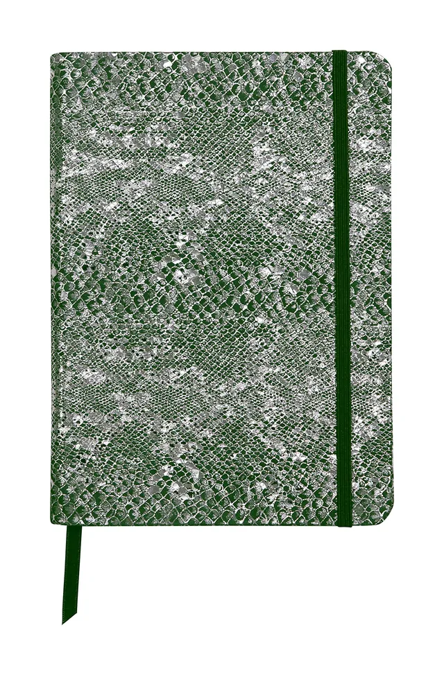 clairefontaine-age-bag-400118c-carnet-cuir-souple-a5-vert-144p image 1