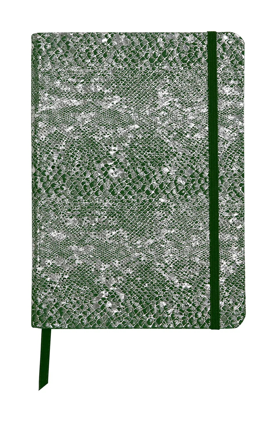 clairefontaine-age-bag-400118c-carnet-cuir-souple-a5-vert-144p image 1