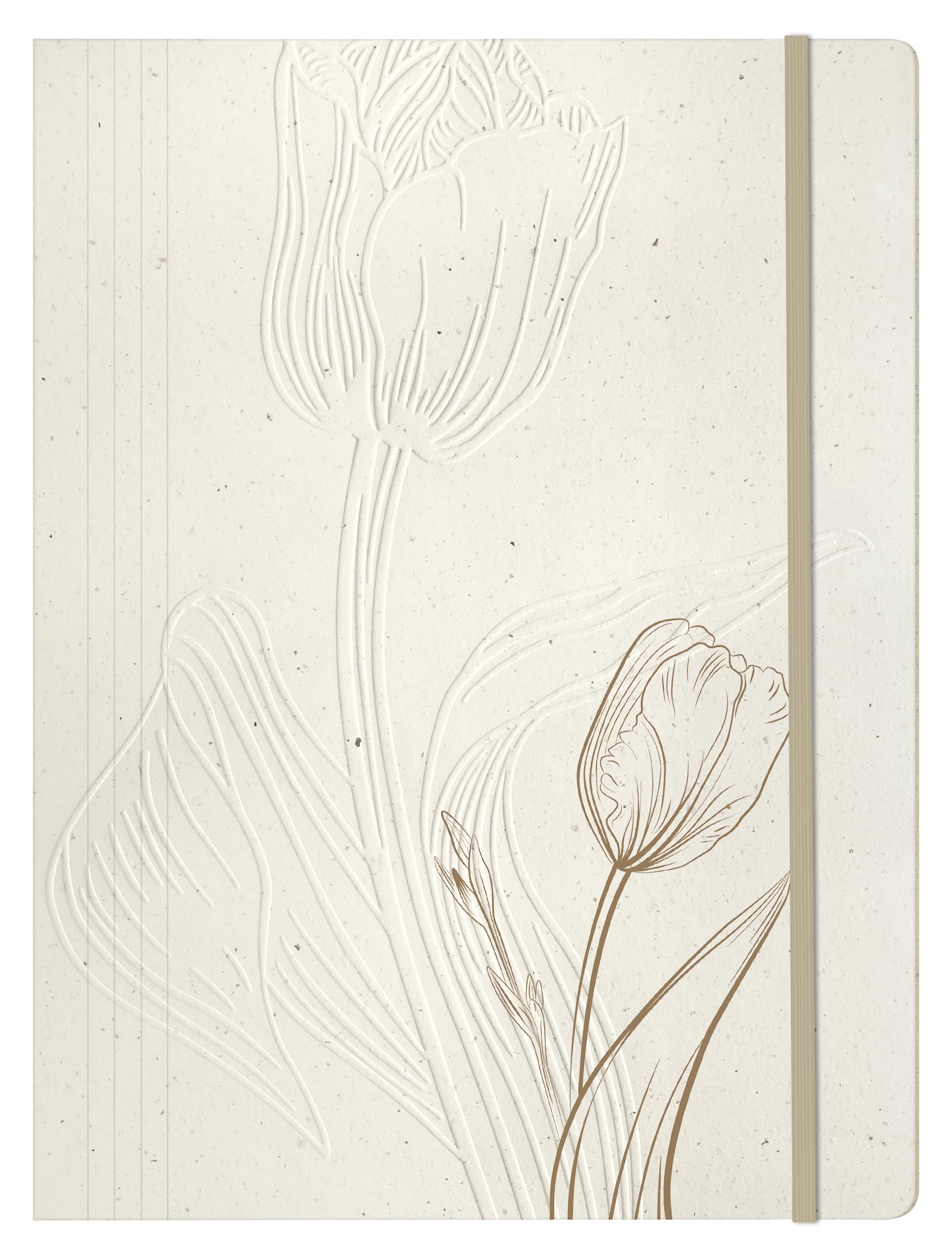 clairefontaine-813073c-chemise-lastique-a4-tulip-paper image 1