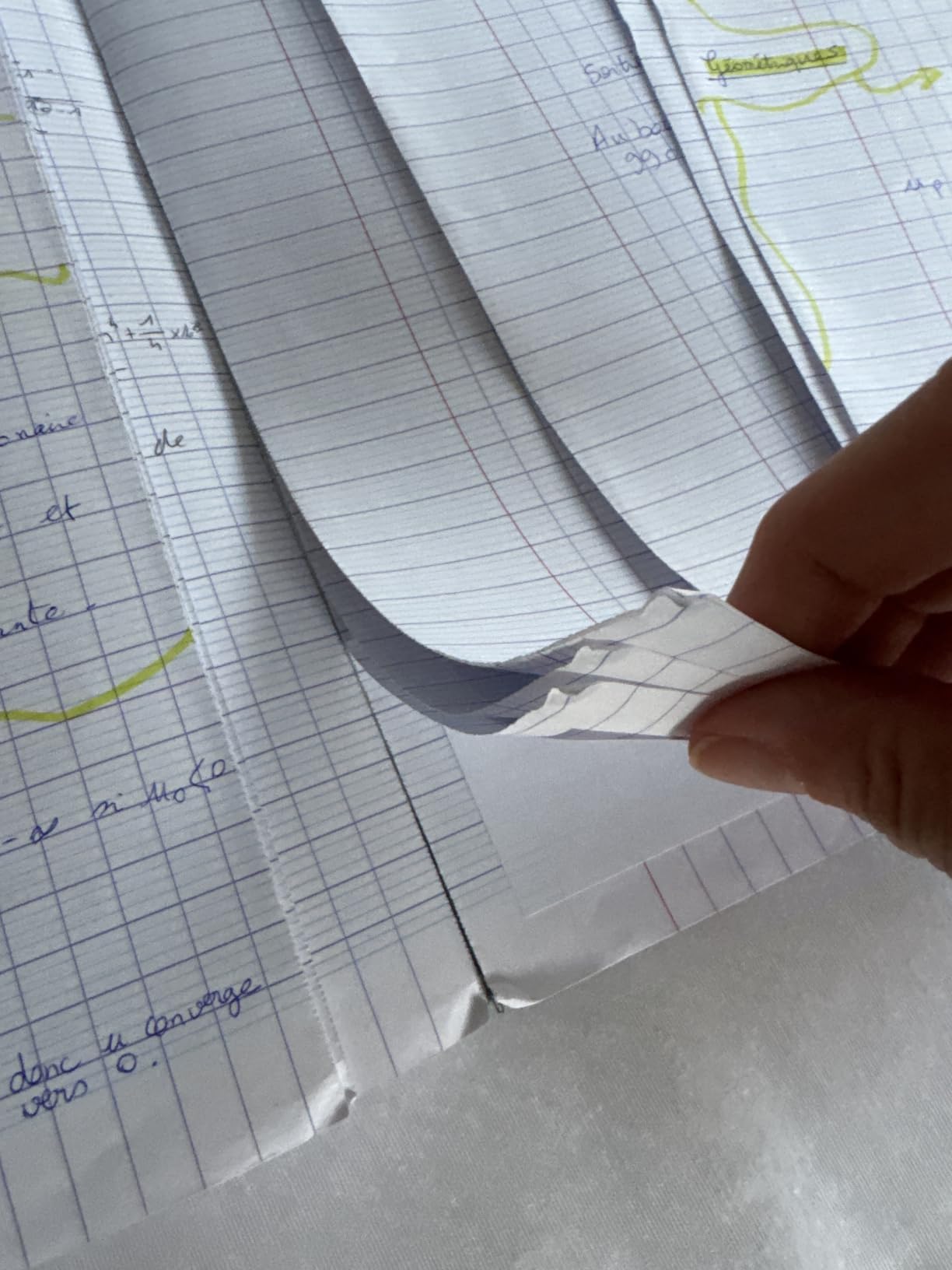 Lignes nettes