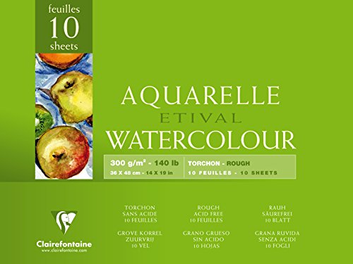 clairefontaine-96563c-bloc-papier-etival-blanc-36x48-cm-300g image 7