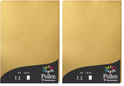clairefontaine-pollen-papier-a4-or-50-feuilles-120g-nacr image 8