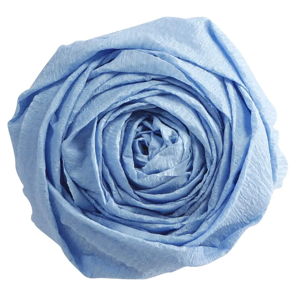 clairefontaine-901027c-papier-cr-pon-bleu-ciel-2x0-5m-x10 image 1