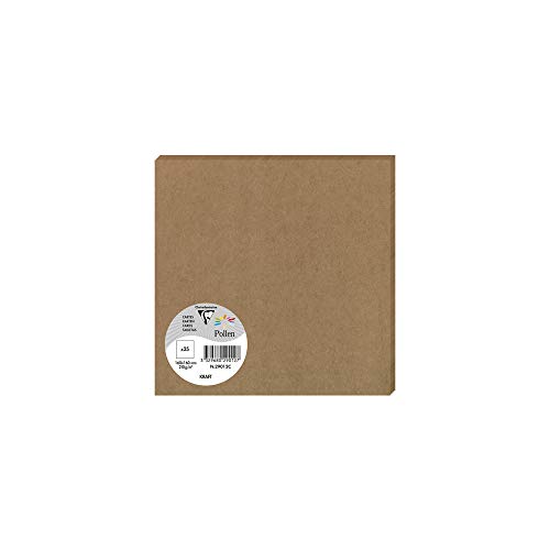 clairefontaine-pollen-25-cartes-16x16cm-200g-kraft-marron image 5