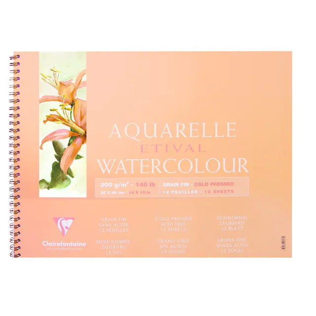 clairefontaine-painton-96073c-album-aquarelle-36x48cm-12-feuilles-300g image 1