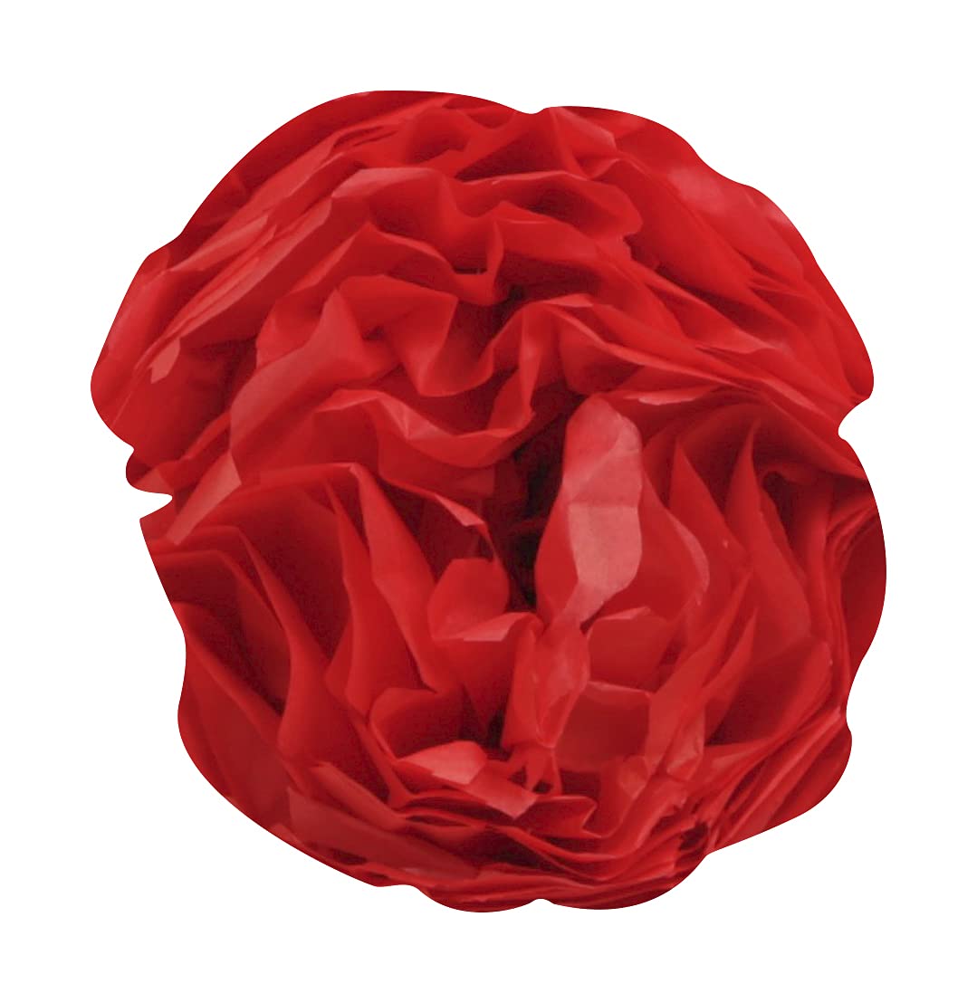 clairefontaine-394006c-papier-de-soie-rouge-50x75-24-feuilles image 4