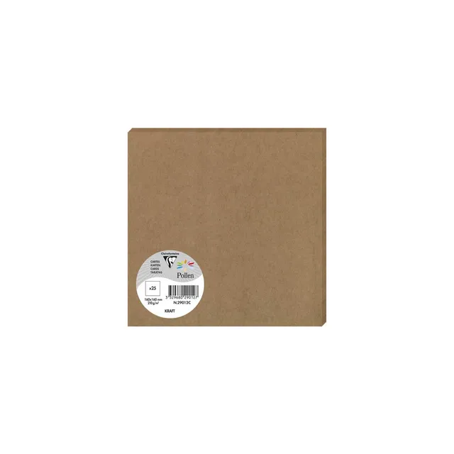 clairefontaine-pollen-25-cartes-16x16cm-200g-kraft-marron image 1