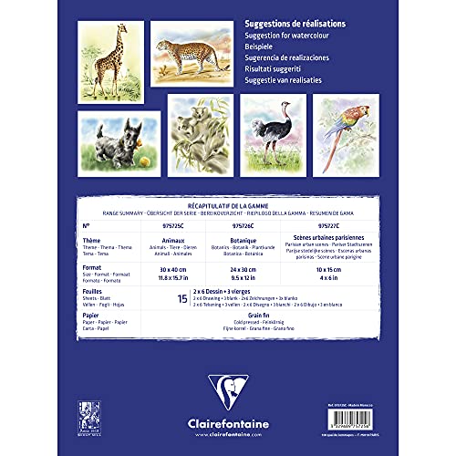 clairefontaine-painton-bloc-aquarelle-animaux-30x40-cm-15-feuilles-300g image 8