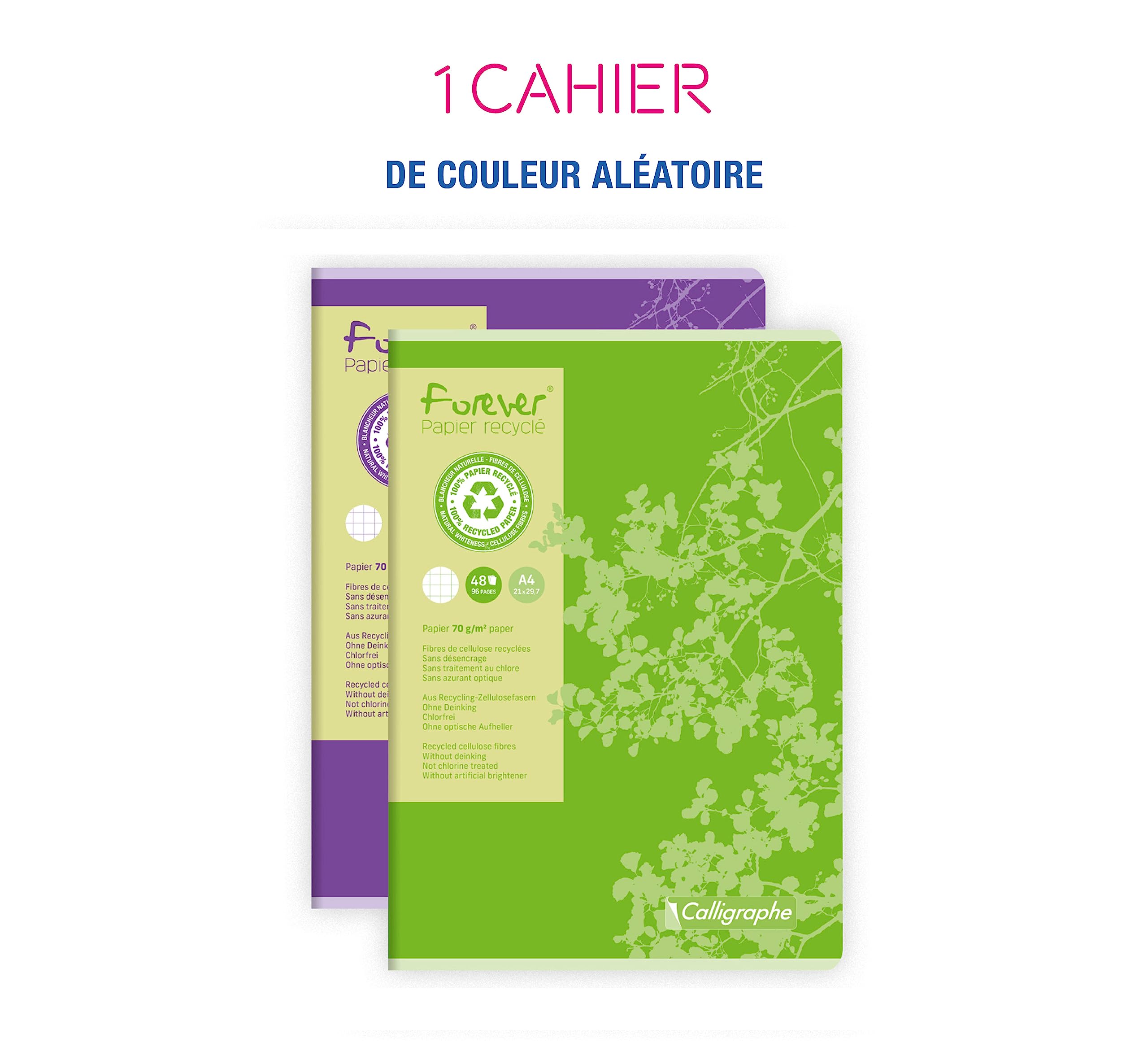 clairefontaine-calligraphe-17125c-cahier-a4-petits-carreaux-recycl image 2