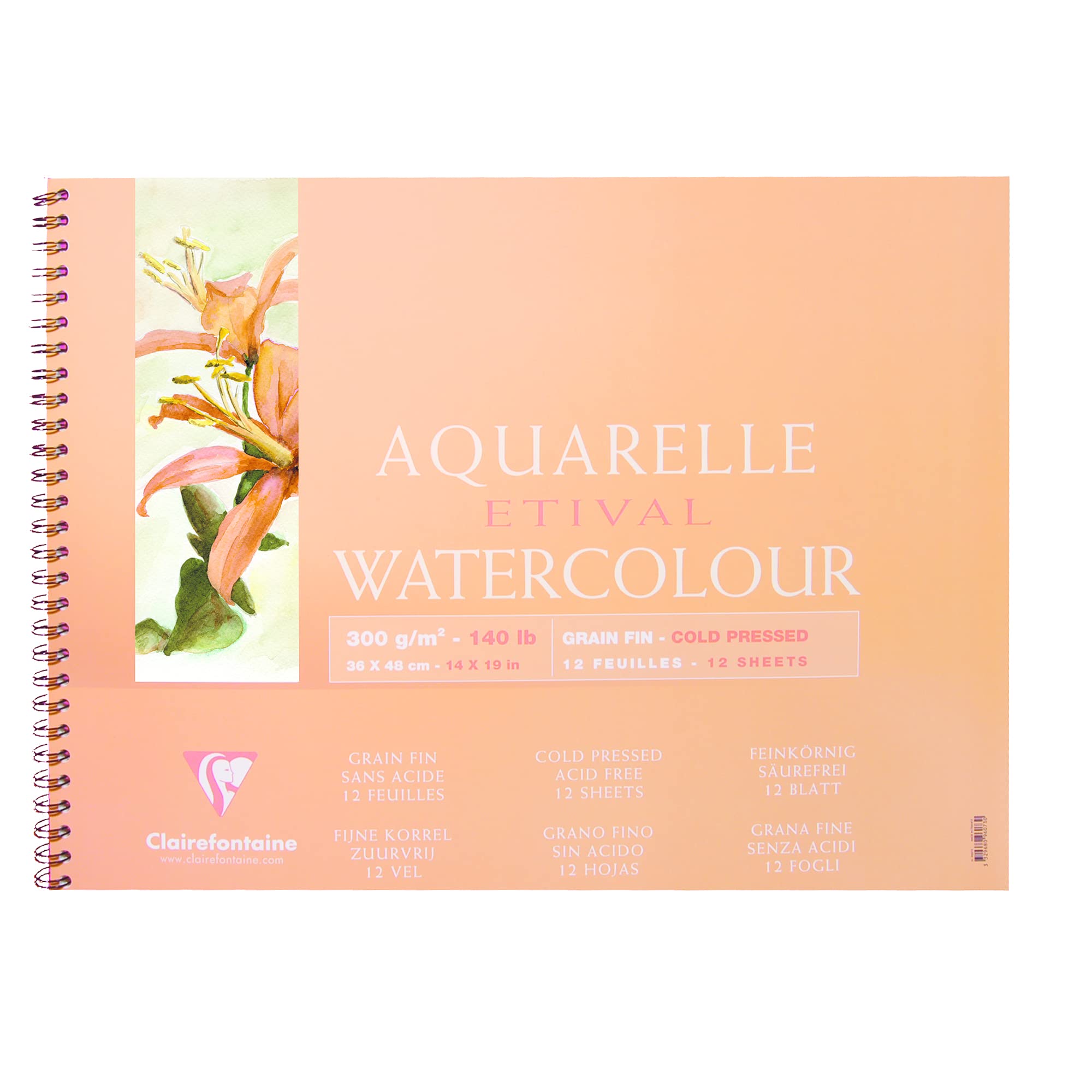 clairefontaine-painton-96073c-album-aquarelle-36x48cm-12-feuilles-300g image 1