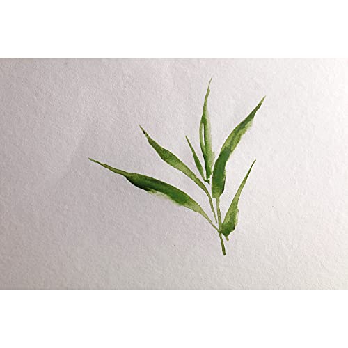 clairefontaine-painton-bamboo-975929c-carnet-21x16cm-250g-bambou image 6