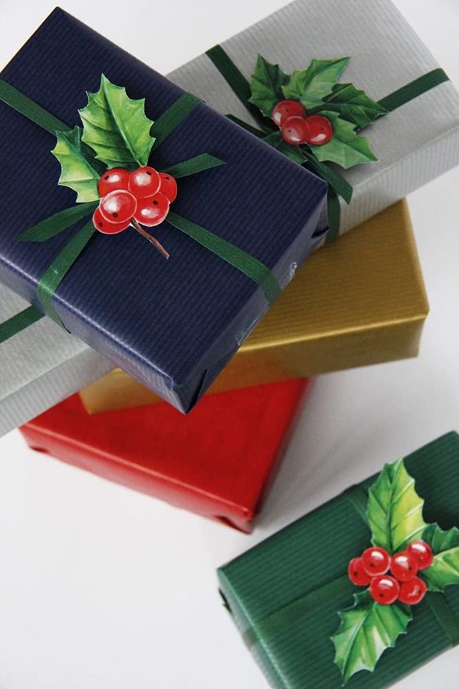 clairefontaine-tulip-bobine-kraft-rouge-50mx0-70m-60g-recycl image 3