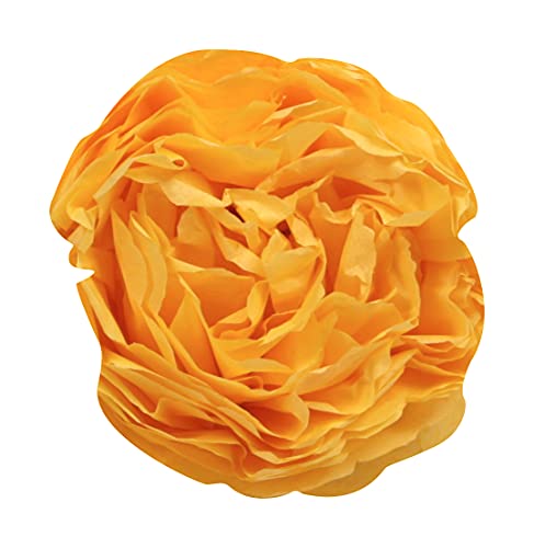 clairefontaine-tulip-394016c-papier-soie-50x75-jaune-or-24-feuilles image 8