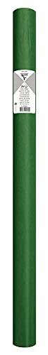 clairefontaine-tulip-paper-soie-vert-pr-50x75-24-feuilles image 6