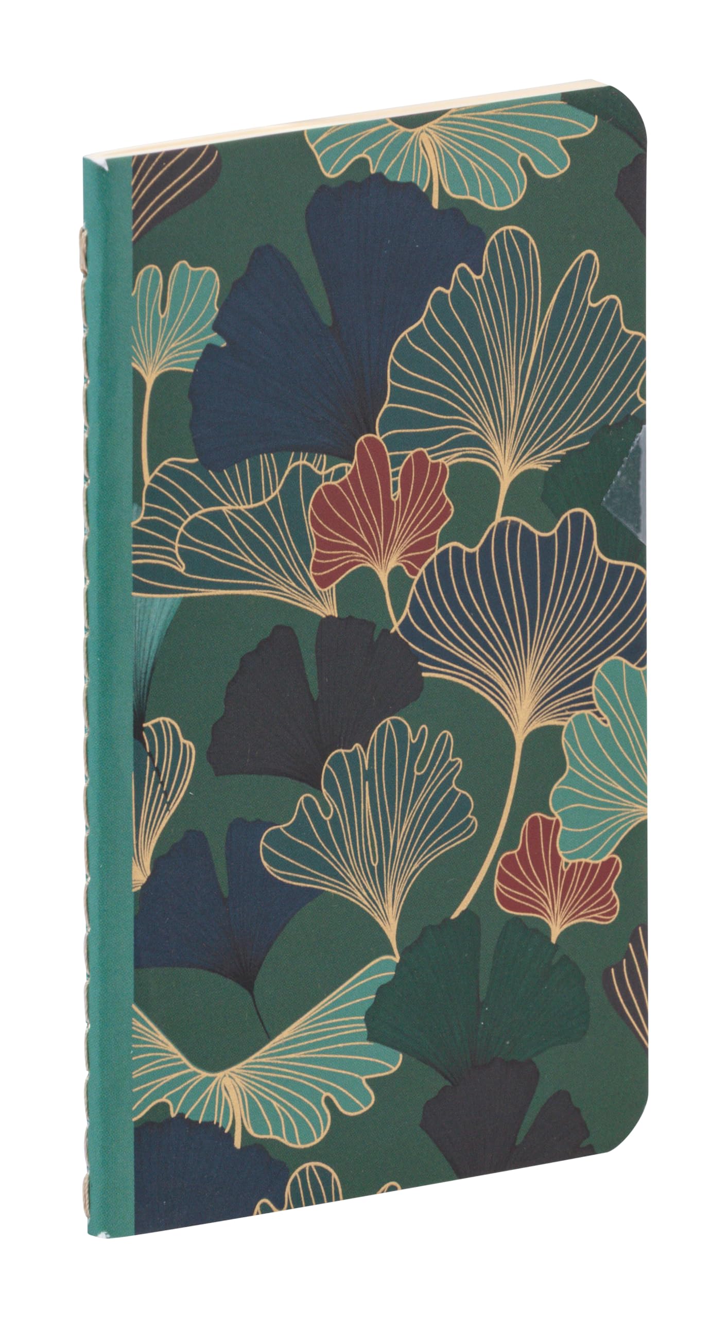 clairefontaine-ginkgo-116240c-carnet-7-5x12-cm-uni-bleu image 1