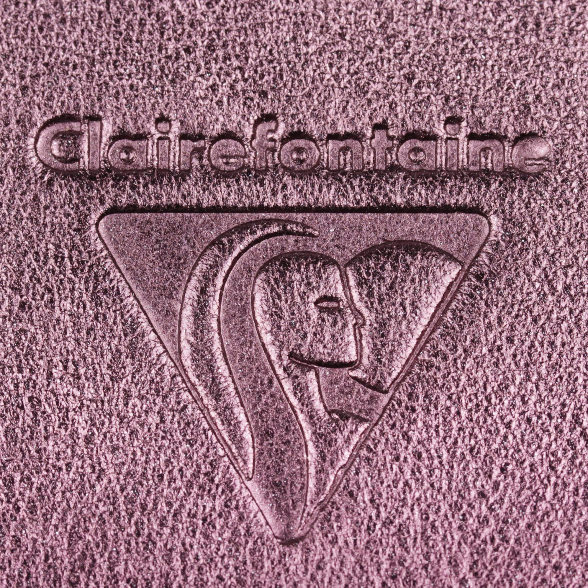 clairefontaine-age-bag-400100c-carnet-cuir-cerise-a5-lign image 4
