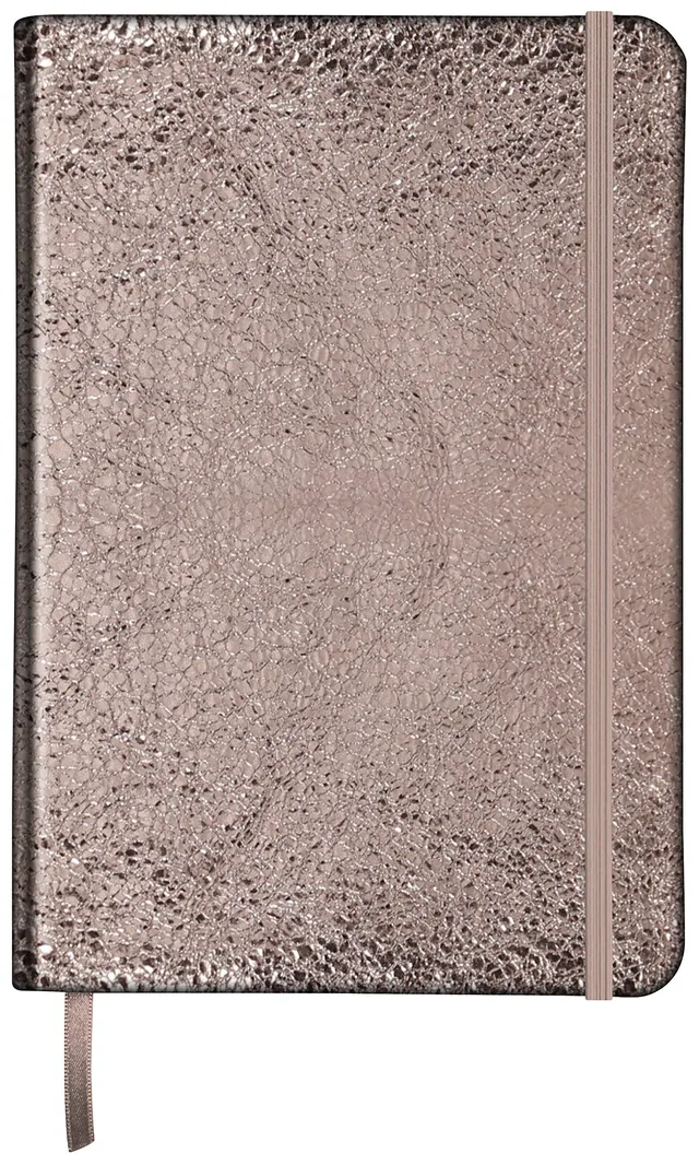 clairefontaine-age-bag-400113c-carnet-cuir-a5-lign-brun-brillant image 1