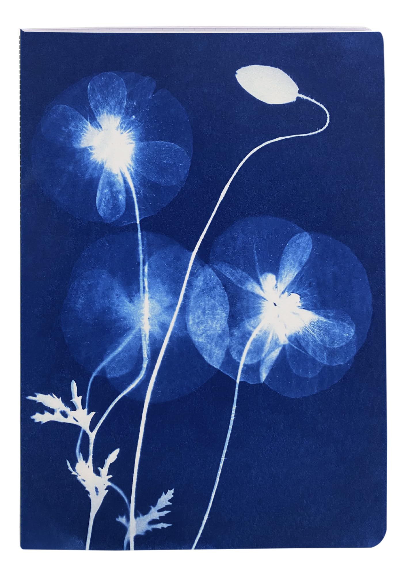 clairefontaine-cyanotype-carnet-cousu-a6-lign-floral-64-pages image 2