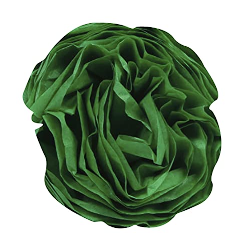 clairefontaine-tulip-paper-soie-vert-pr-50x75-24-feuilles image 8